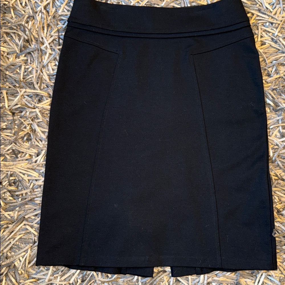 New York & Co Skirt